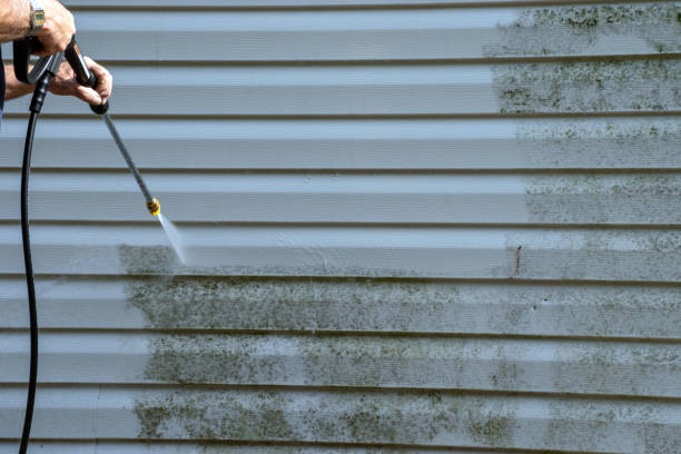 Best Hoarding Cleanup  in Hudson, MI